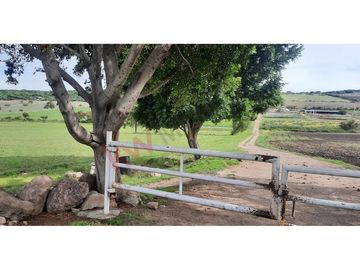 VENTA RANCHO EN  OJO DE AGUA SAN JUAN DEL RIO