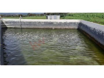 VENTA RANCHO EN  OJO DE AGUA SAN JUAN DEL RIO