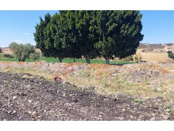 VENTA RANCHO EN  OJO DE AGUA SAN JUAN DEL RIO