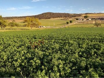 VENTA RANCHO EN  OJO DE AGUA SAN JUAN DEL RIO