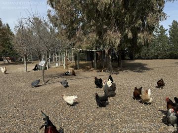 PARQUE ECOLOGICO EL DORADILLO