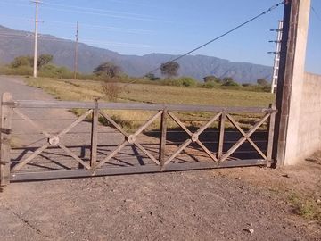 Lencke Vende - Campo en produccion de aceitunas - Capayan