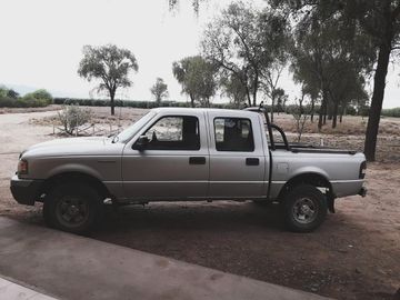 Lencke Vende - Campo en produccion de aceitunas - Capayan
