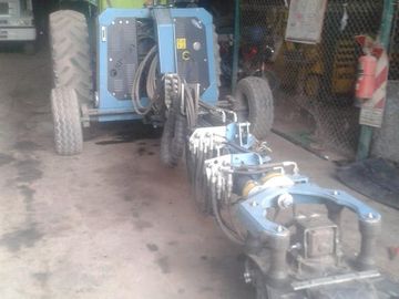 Lencke Vende - Campo en produccion de aceitunas - Capayan