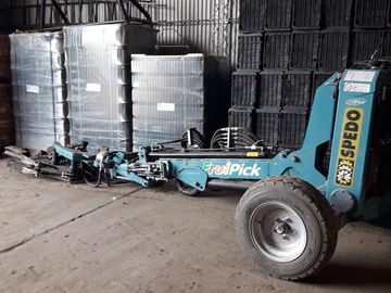 Lencke Vende - Campo en produccion de aceitunas - Capayan