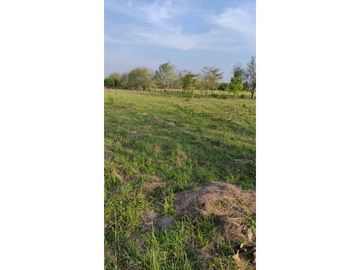 LOTE EN VENTA VIA MONTERIA ARBOLETES EN LOS CEDROS