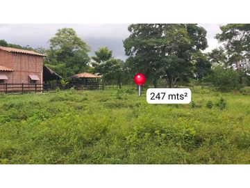 LOTE EN VENTA EN ARBOLETES