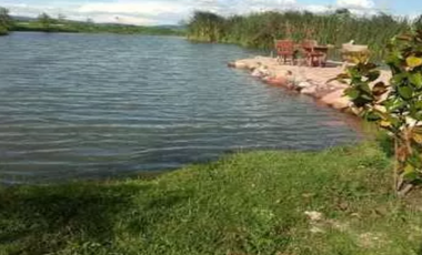 TERRENO EN VENTA PARA VIVIENDA VERTICAL EN  QUERÉTARO.