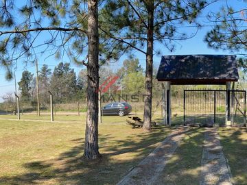 Quinta - 20 De Junio