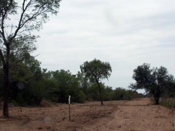 Campo Ganadero sobre Ruta 34