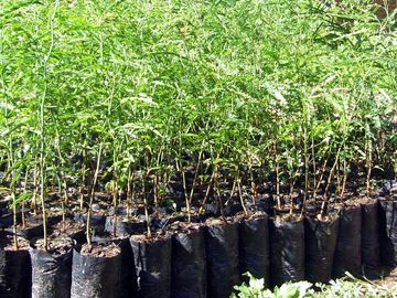 Campo Ganadero sobre Ruta 34