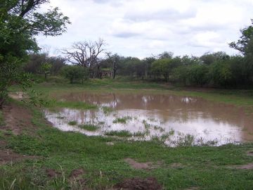 Campo Ganadero sobre Ruta 34