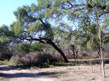 Campo Ganadero sobre Ruta 34