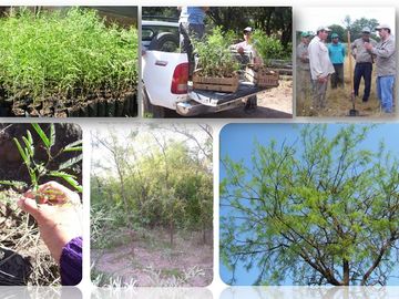 Campo Ganadero sobre Ruta 34