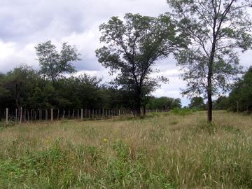 Campo Ganadero sobre Ruta 34