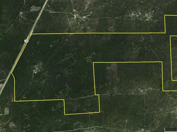 Campo Ganadero sobre Ruta 34