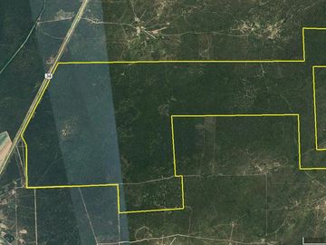 Campo Ganadero sobre Ruta 34