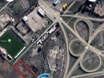 Chacra con cortina de Álamos zona Cancha de Racing , detrás de estación de servicio.