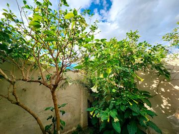 Venta PH Saavedra Jardín Loft Divisible Reciclado