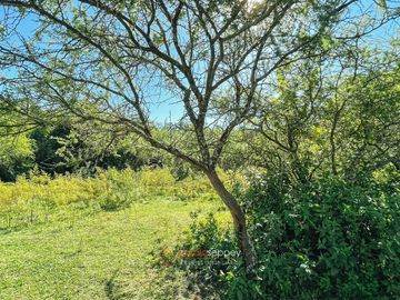 FRACCIÓN 7 HAS. A 800 METROS RUTA E53 - ESCRITURA Y PLANO MENSURA - CON CASA