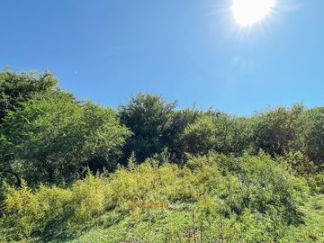 FRACCIÓN 7 HAS. A 800 METROS RUTA E53 - ESCRITURA Y PLANO MENSURA - CON CASA