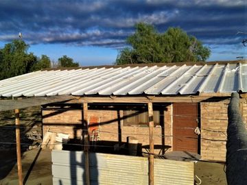 GREENWOOD VENDE CAMPO GANADERO EN SAN RAFAEL DE 5522Ha.