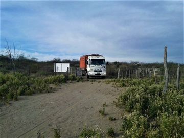 GREENWOOD VENDE CAMPO GANADERO EN SAN RAFAEL DE 5522Ha.