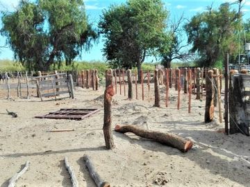 GREENWOOD VENDE CAMPO GANADERO EN SAN RAFAEL DE 5522Ha.