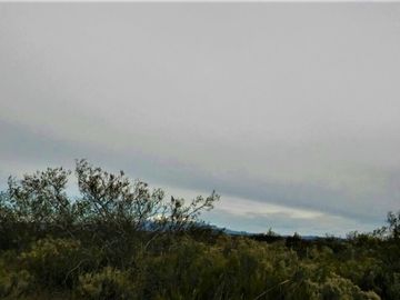 GREENWOOD VENDE CAMPO GANADERO EN SAN RAFAEL DE 5522Ha.