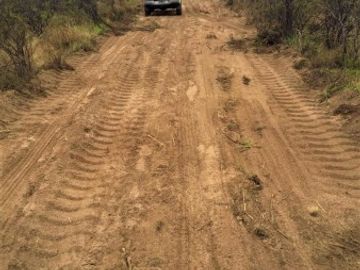 GREENWOOD VENDE CAMPO GANADERO EN SAN RAFAEL DE 5522Ha.