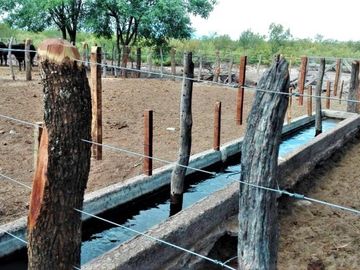 GREENWOOD VENDE CAMPO GANADERO EN SAN RAFAEL DE 5522Ha.