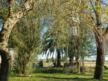 CaÃ±uelas - Espectacular lote arbolado!! Juncal Y Hernandez - Amplia Financiacion !!!