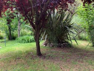 Golondrinas -Provincia de  Chubut - Sur Argentino