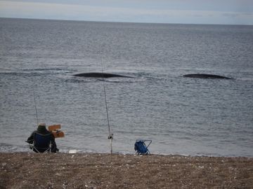 Â¿Estas buscando un Proyecto Distinto? Te ofrecemos un Delta en la costa del Mar. ESCRITURA