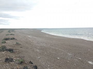 Â¿Estas buscando un Proyecto Distinto? Te ofrecemos un Delta en la costa del Mar. ESCRITURA