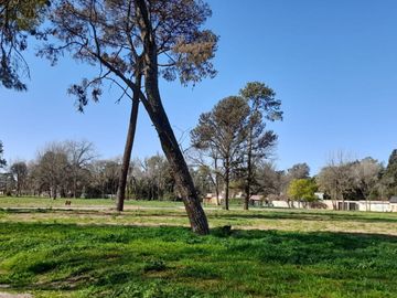 LOTEO EN BARRIO PARQUE EL REMANSO - BARRIO LOS JAZMINES - PILAR, DEL VISO