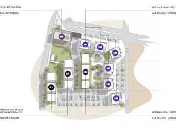 WA Diamond en San Lorenzo Chico [ SER DUEÃO ]