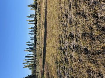Gran terreno o lote de 2 has en San Rafael ideal emprendimiento
