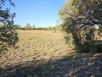 Gran terreno o lote de 2 has en San Rafael ideal emprendimiento