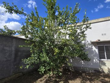 CASA EN VENTA BARRIO JUDICIAL 3