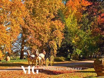 Lote en venta- Barrio privado cerrado - Estancia Villa Maria- Canning San Vicente