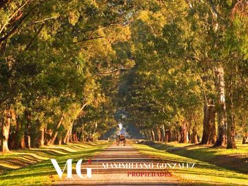 Lote en venta- Barrio privado cerrado - Estancia Villa Maria- Canning San Vicente