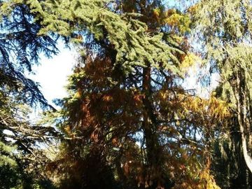 Quinta en venta - 2 Dormitorios 1 Baño - Camet Norte