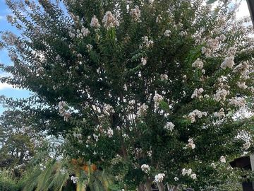 Casa en venta - 8 Dormitorios 5 Baños - Cochera - 1.160Mts2 - Villa Ballester