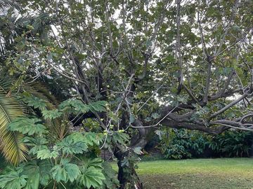 Casa en venta - 8 Dormitorios 5 Baños - Cochera - 1.160Mts2 - Villa Ballester