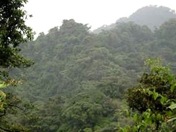 Campo en venta de 7300 has en Oran, Salta - IDEAL INVERSORES, PARA DESARROLLAR- Bonos Verdes