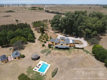 Campo en venta 50 Has en Punta Indio - Excelente Casco - Ideal Haras