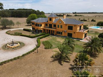 Campo en venta 50 Has en Punta Indio - Excelente Casco - Ideal Haras