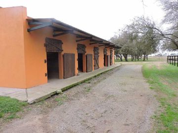 Campo en venta 50 Has en Punta Indio - Excelente Casco - Ideal Haras