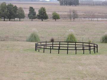 Campo en venta 50 Has en Punta Indio - Excelente Casco - Ideal Haras